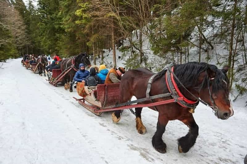 Billet Promenade en traîneau tiré par des chevaux de 2 à 3 heures avec combinaisons sources chaudes ou Zakopane