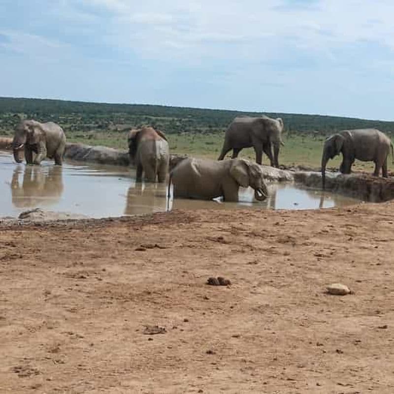 Billet Addo Elephant Park et Kragga Kamma Game Park Combo