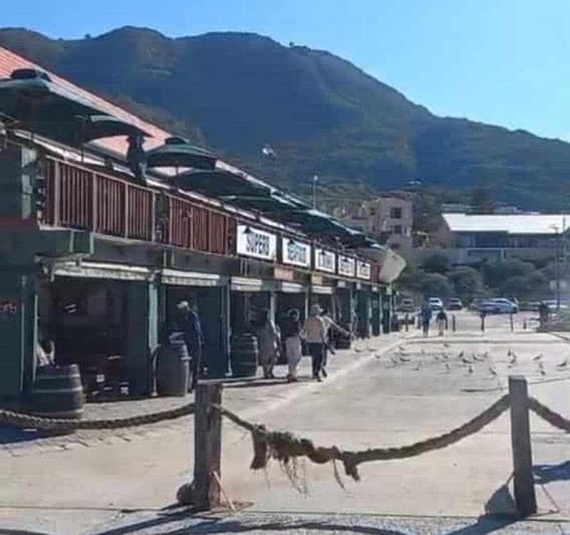 Billet Hout Bay : Excursion en bateau sur l'île de Seal avec visite du monde des oiseaux