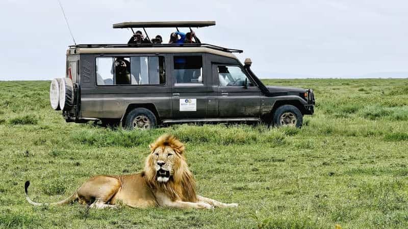 Billet Zanzibar : safari privé de 2 jours dans le cratère magique du Ngorongoro