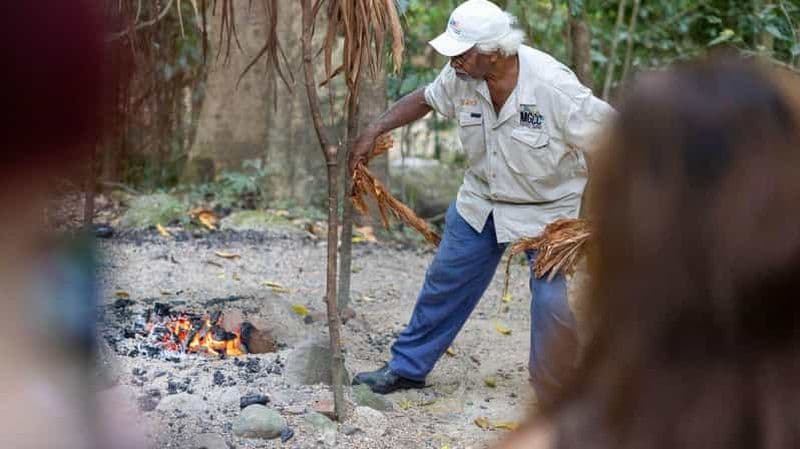 Billet Depuis Port Douglas : excursion à Daintree Rainforest et Mossman Gorge
