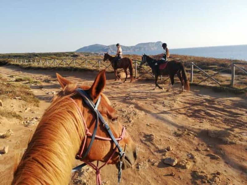 Alghero : Randonnée guidée à cheval au lac Baratz et à Porto Ferro