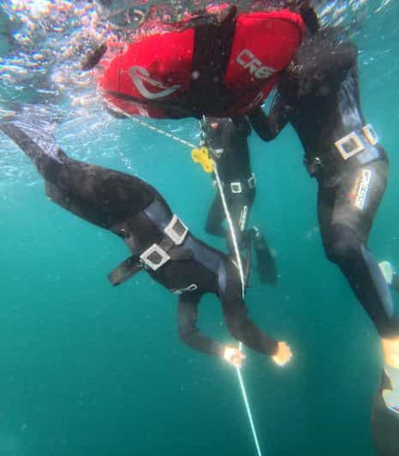 Billet Groix : Stage Apnée 3 demi-journées / Plongée sous-marine