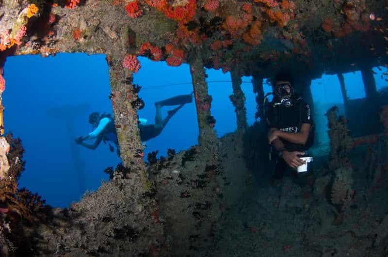 Billet Maldives : Plongée sous-marine sur l'épave de Victory