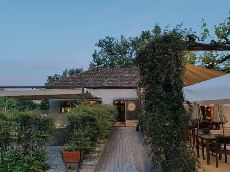 AMARANTE : Atelier de peinture et repas de 8 plats avec dégustation de vins