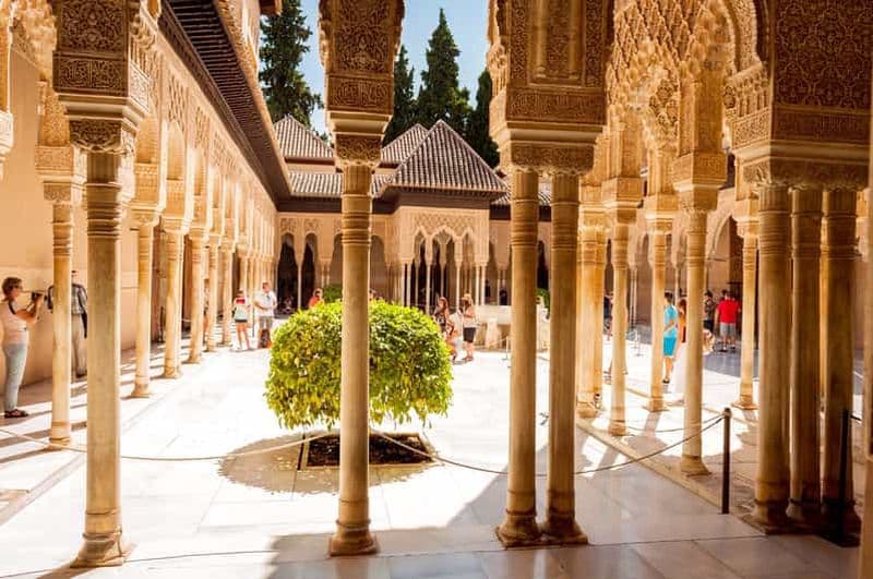 Visite guidée de l'Alhambra et des palais nasrides avec accès rapide