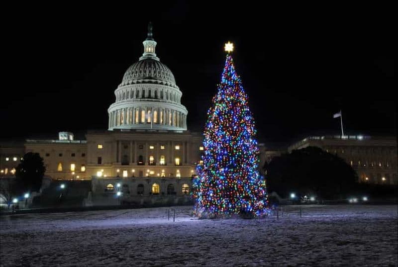Billet Washington, DC : Visite en bus nocturne des lumières de Noël