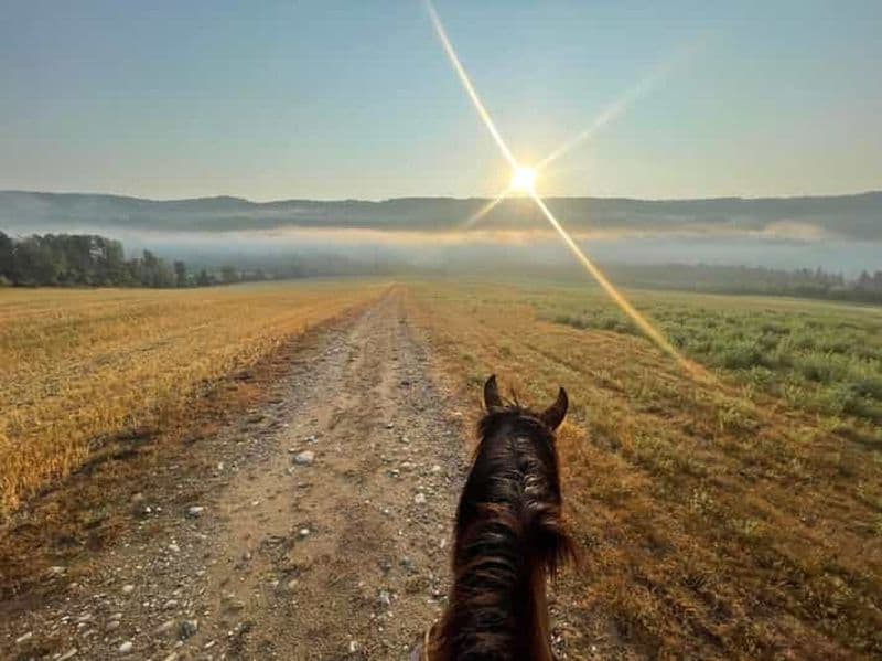Promenade romantique à cheval au coucher du soleil : La Crépuscule
