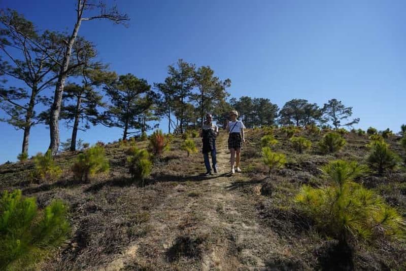 Café - Vin - Thé Visite des trésors agricoles de Da Lat