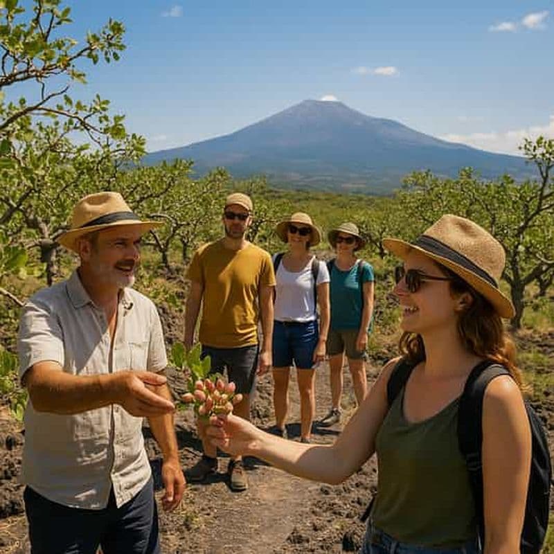 Billet Bronte : Tour et dégustation dans les jardins de pistaches
