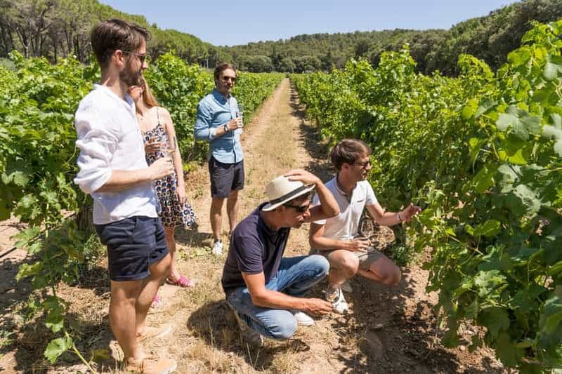 Billet Avignon : visite d'une jounée à Châteauneuf-du-Pape et dans le Luberon
