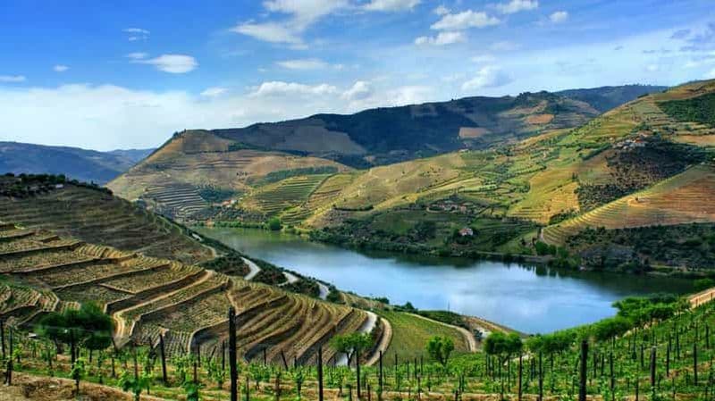 Billet Vallée du Douro : visite privée d'une journée complète au départ de Porto