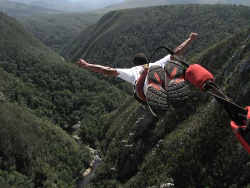 Plettenberg Bay : Saut à l'élastique avec tyrolienne et Sky Walk