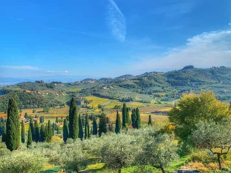 Carmignano : visite guidée avec un éducateur en œnologie