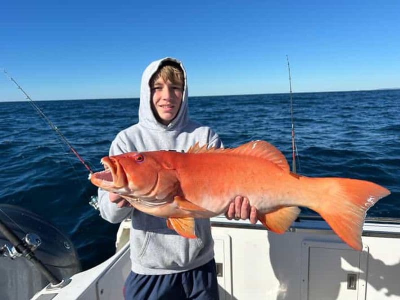 Billet Noosa : location de bateau pour la pêche en haute mer