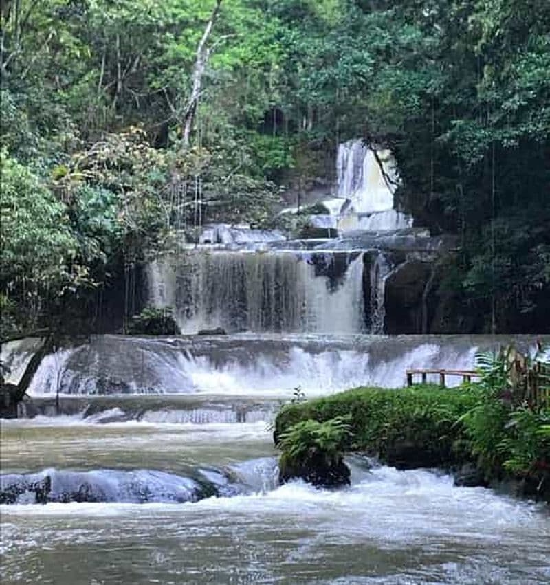 Jamaïque : Visite d'une jounée des chutes d'YS et safari à Black River