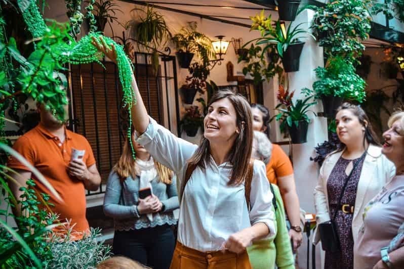 Billet Patios de Cordoue : visite à pied