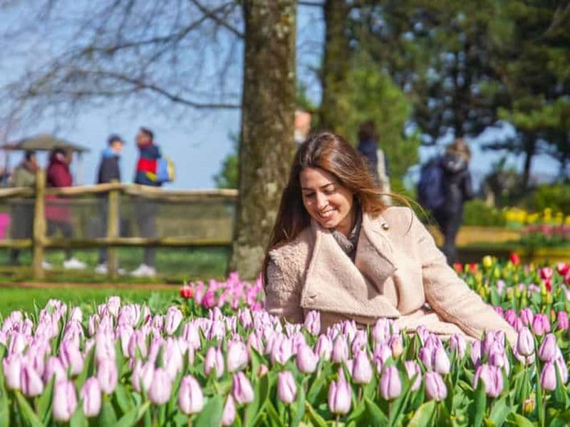 Billet Amsterdam : expérience Keukenhof Tulip Garden et Giethoorn