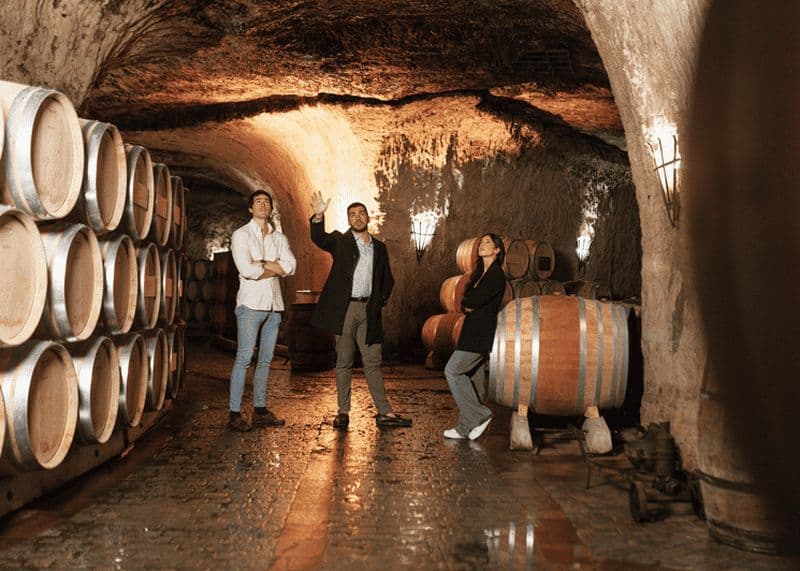 Billet Bilbao : visite des vignobles de La Rioja avec dégustation et déjeuner