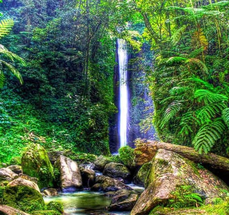 Billet Dumaguete : excursion d'une journée au camp forestier et aux chutes de Casaroro