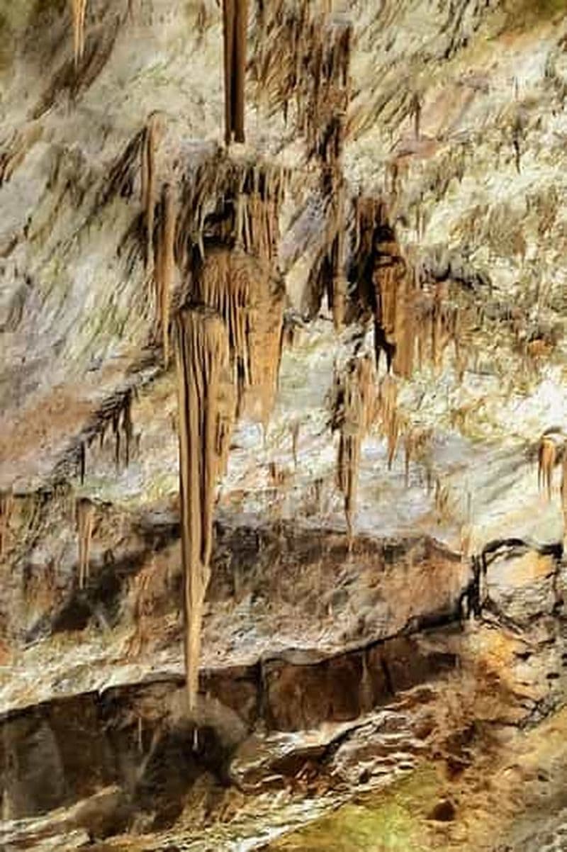 Depuis Ljubljana : visite guidée des grottes de Postojna et du château de Predjama