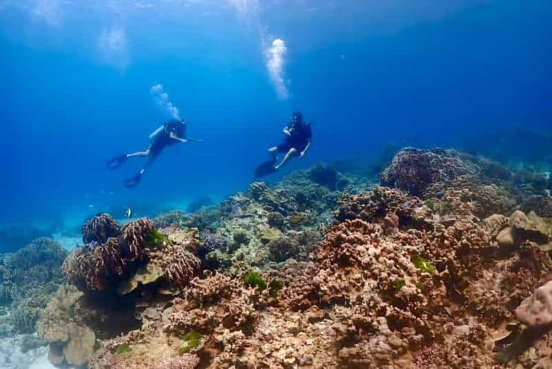 Plongée sous-marine à Phuket, îles Racha, 1 à 3 plongées pour tous les niveaux