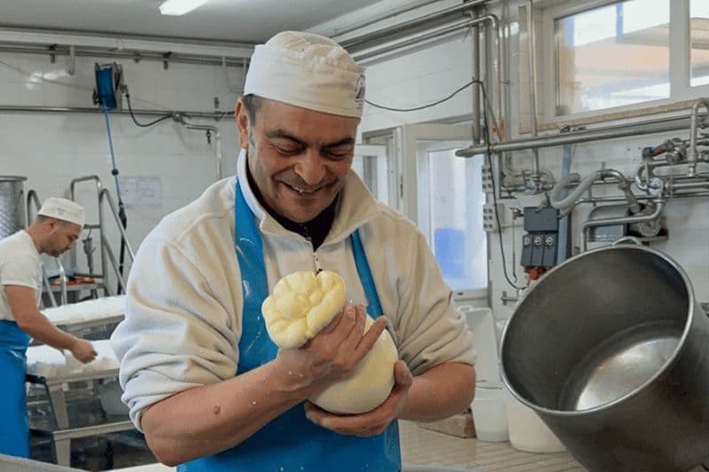 Billet Martina Franca : Atelier de fabrication de mozzarella et de pâtes avec visite de la ferme
