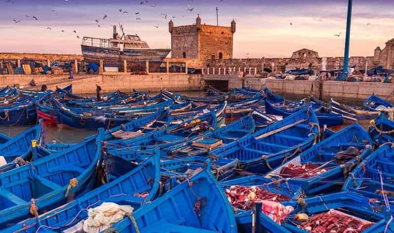 Billet Au départ de Marrakech : excursion d'une journée en petit groupe à Essaouira et Sekkala