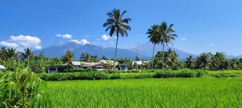 Billet lombok : singe noir, rizière, cascade tetebatu