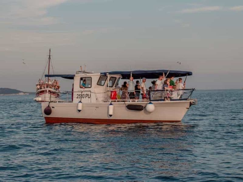 Fažana : Dauphin et coucher de soleil