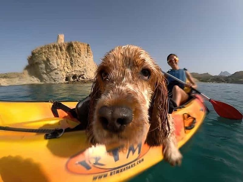 Billet Villajoyosa : Kayak avec le meilleur ami de l'homme, votre chien