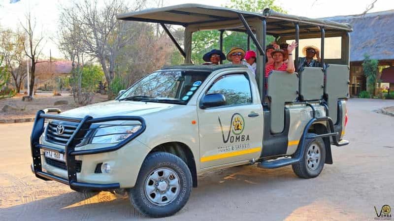 Billet Hazyview : Safari privé guidé d'une journée au Kruger