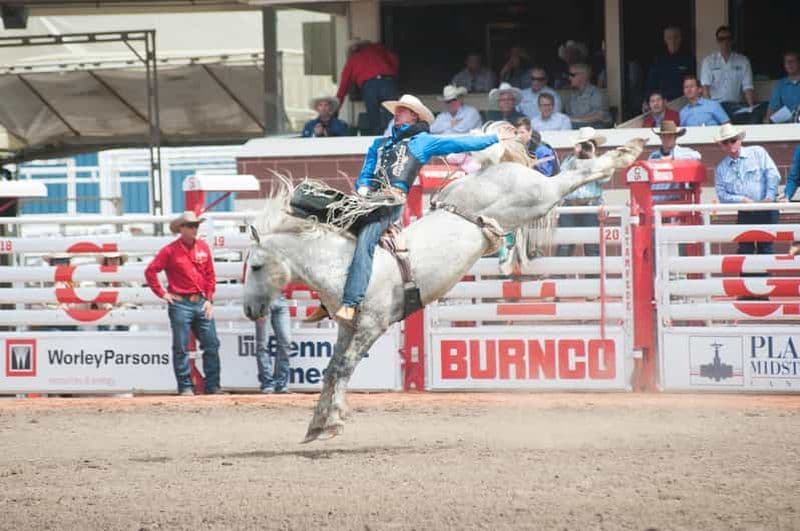 Billet Rodeo de l'après-midi du Stampede de Calgary