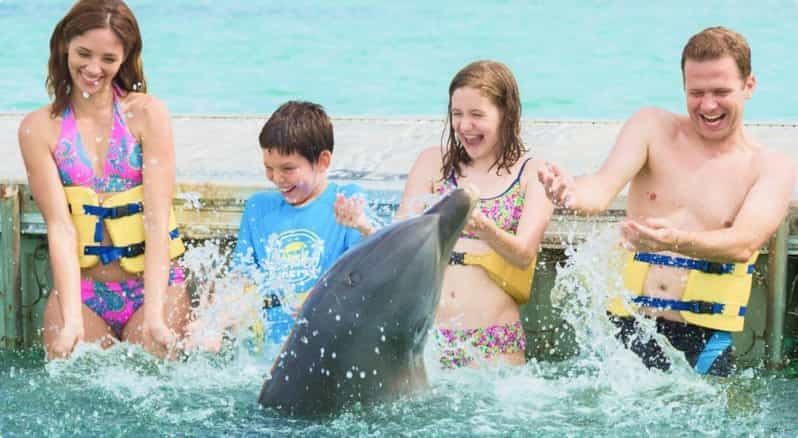 Punta Cana : Programme d'action pour les dauphins