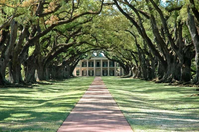 Billet Louisiane : Laura, Oak Alley ou Whitney Plantation Tours