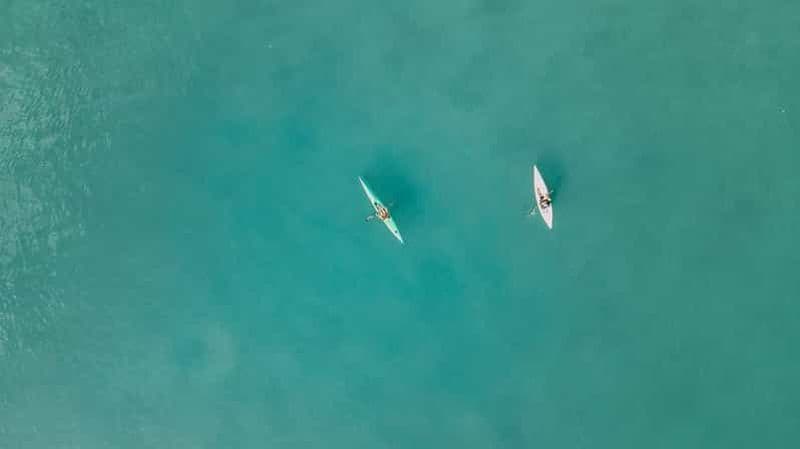 Rivière Noosa : Excursion guidée en kayak dans les mangroves et les manoirs