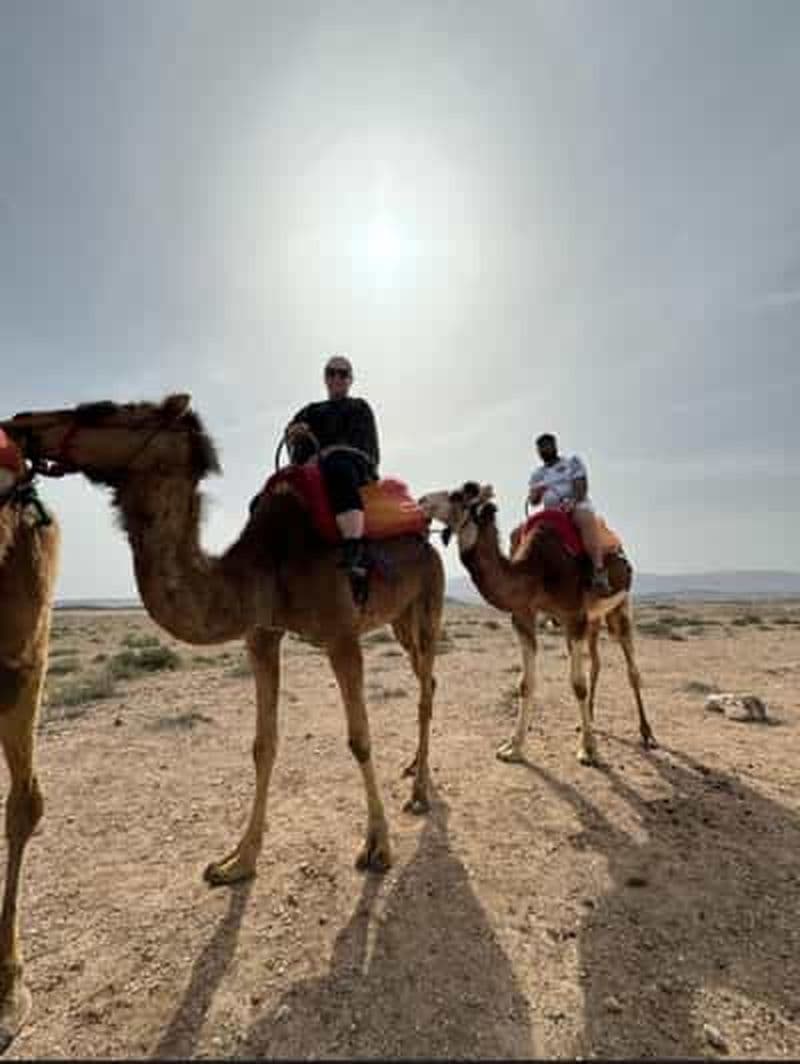 Billet Marrakech : excursion dans l'Atlas et les trois vallées, balade à dos de chameau