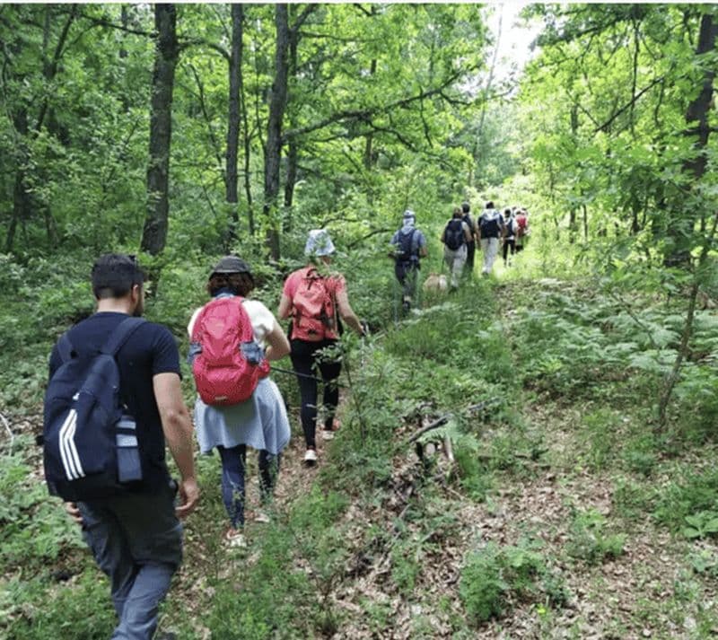 Kastoria : randonnée guidée sur le mont Verno avec vue panoramique