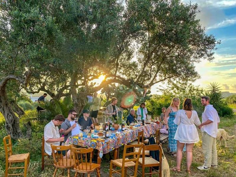 Billet Alcamo : Dégustation de vin et d'huile d'olive naturels - Sicile