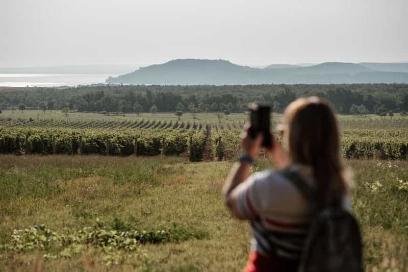 Billet Balatonfüred : randonnée automnale dans les vignobles avec dégustation de vins