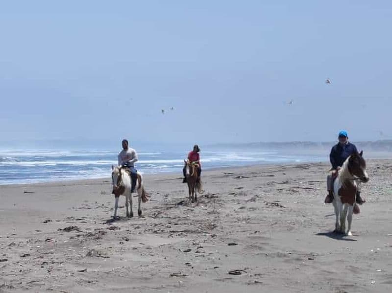 Équitation et barbecue, Dunes de sable et plage de Ritoque F. Valpo