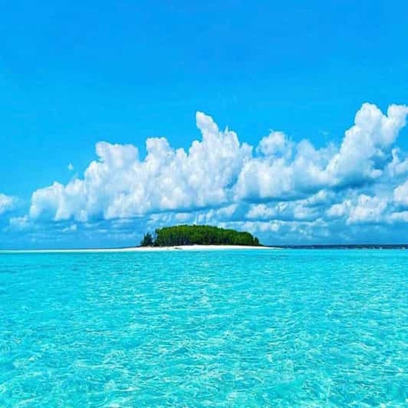 Billet Dauphins et plongée avec tuba à Zanzibar : excursion sur l'île de Mnemba