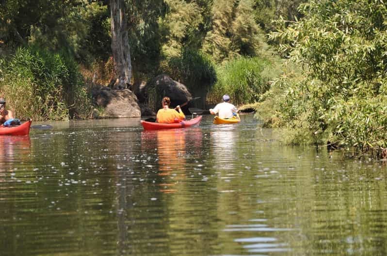Valledoria : Location de kayak sur la rivière Coghinas