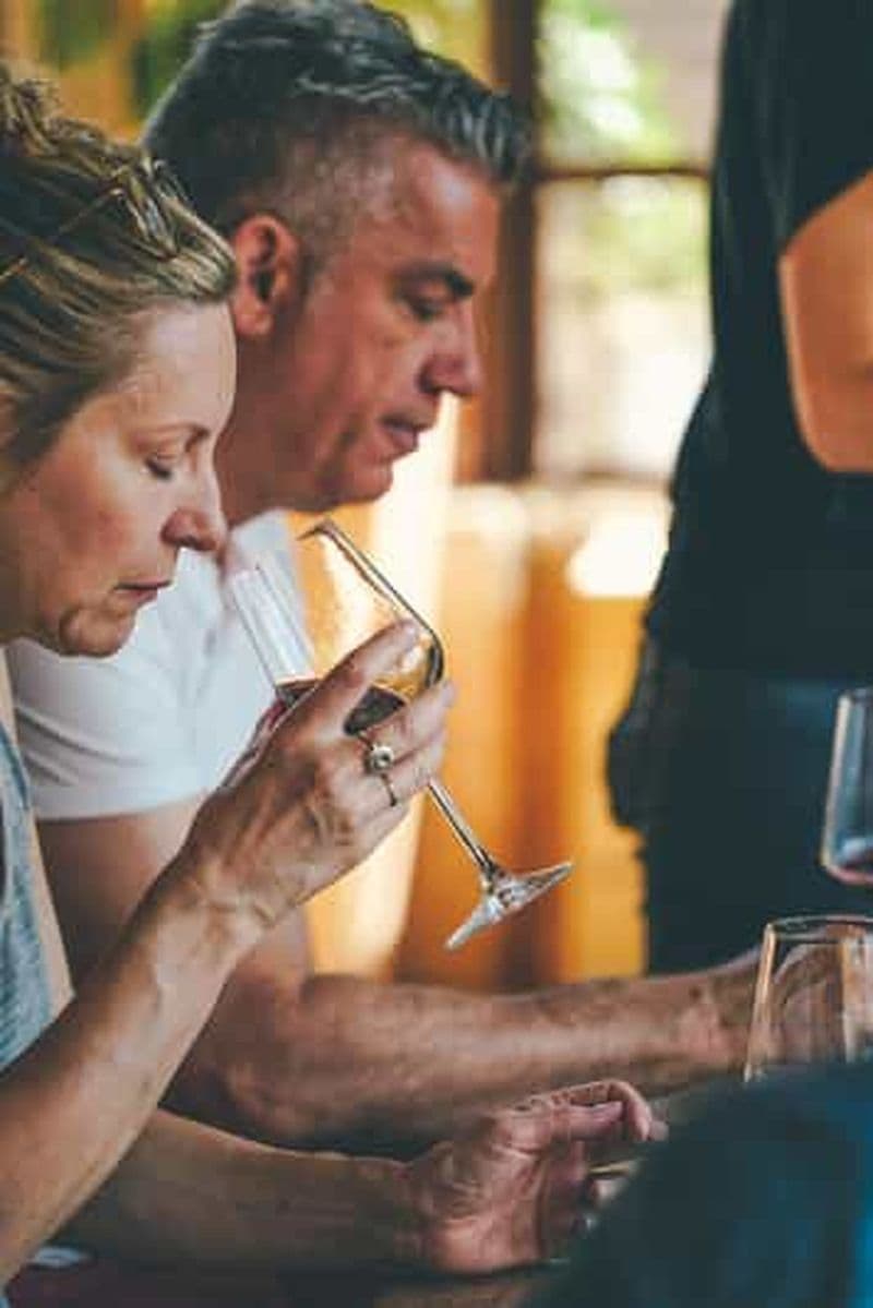 Au départ de Vérone : Dégustation de vins Valpolicella et Amarone