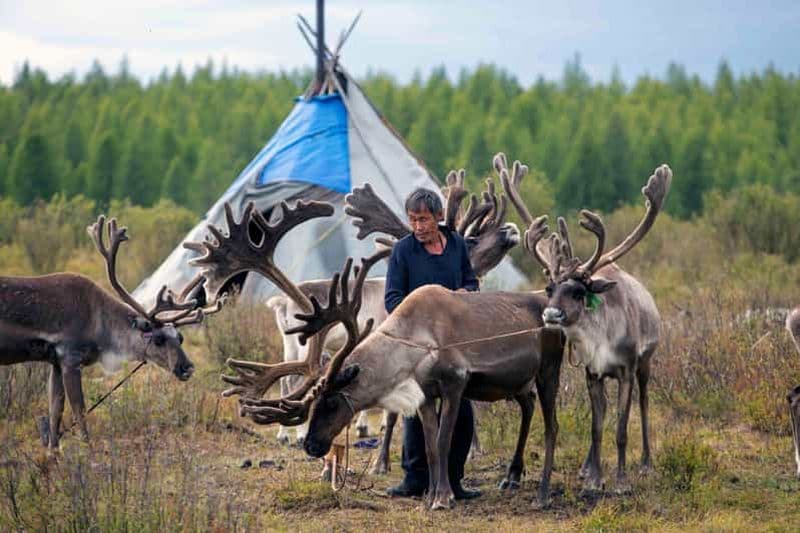 Billet Mongolie : la tribu Tsaatan et le lac Khövsgöl (8 jours)