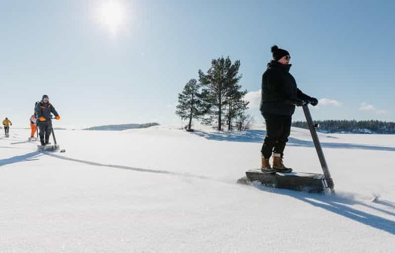 Billet Puumala : visite du géoparc de Saimaa en scooter des neiges eLyly
