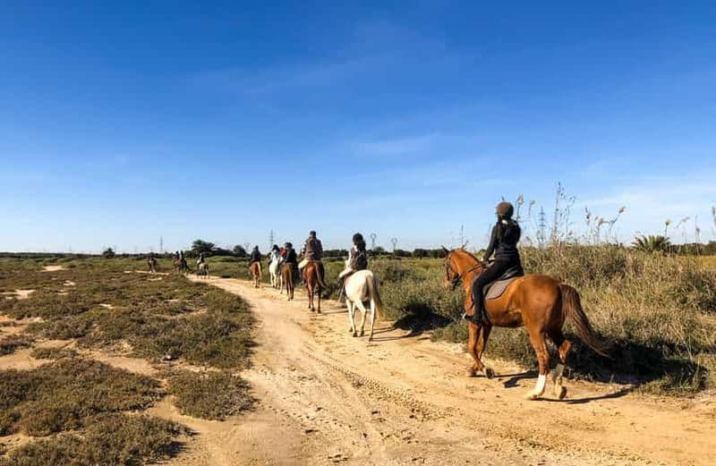Sousse/Monastir : excursion privée à cheval avec transfert