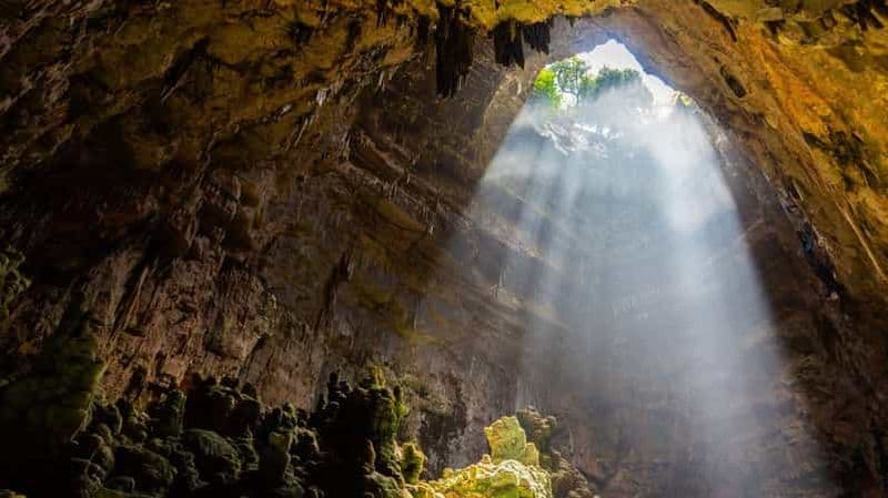 Visite guidée des grottes de Castellana
