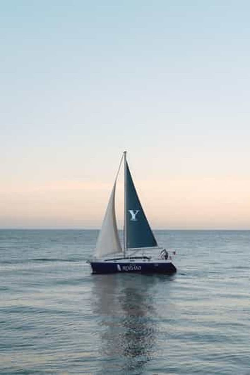 Billet Porto : croisière sur le Douro (2 h) – vin et vues panoramiques