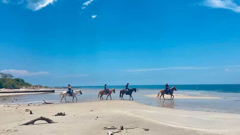 Miami : Promenade à cheval sur la plage et sentier de découverte de la nature